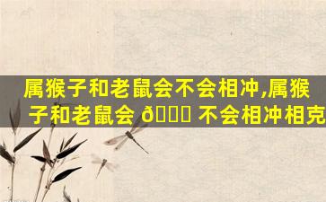 属猴子和老鼠会不会相冲,属猴子和老鼠会 💐 不会相冲相克